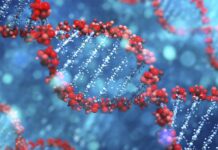 How Turning Off a Gene Can Help Understand—and Maybe Treat—Human Diseases 3D DNA strand showing gene inactivation and silencing, used in genetic research and therapies for human diseases.